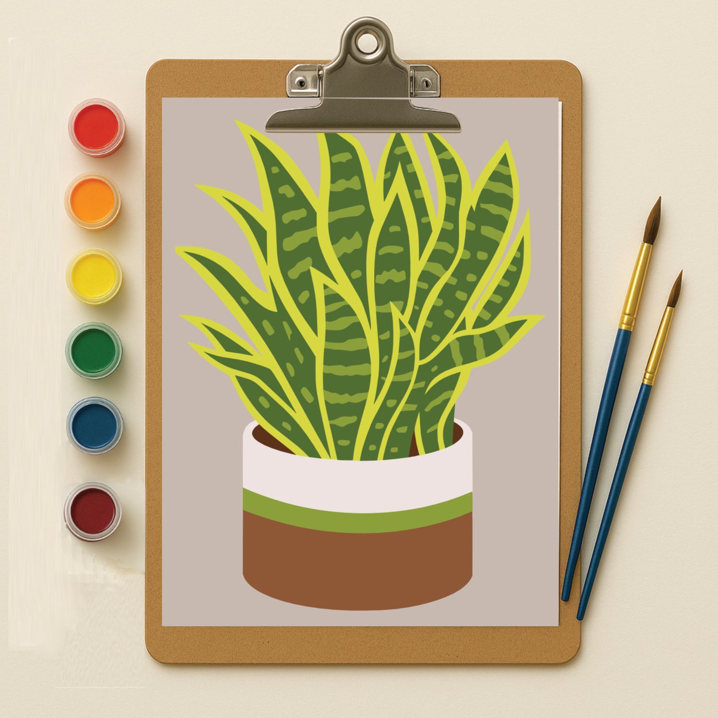 Snake Plant Serenity mini kit