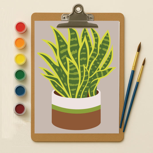 Snake Plant Serenity mini kit
