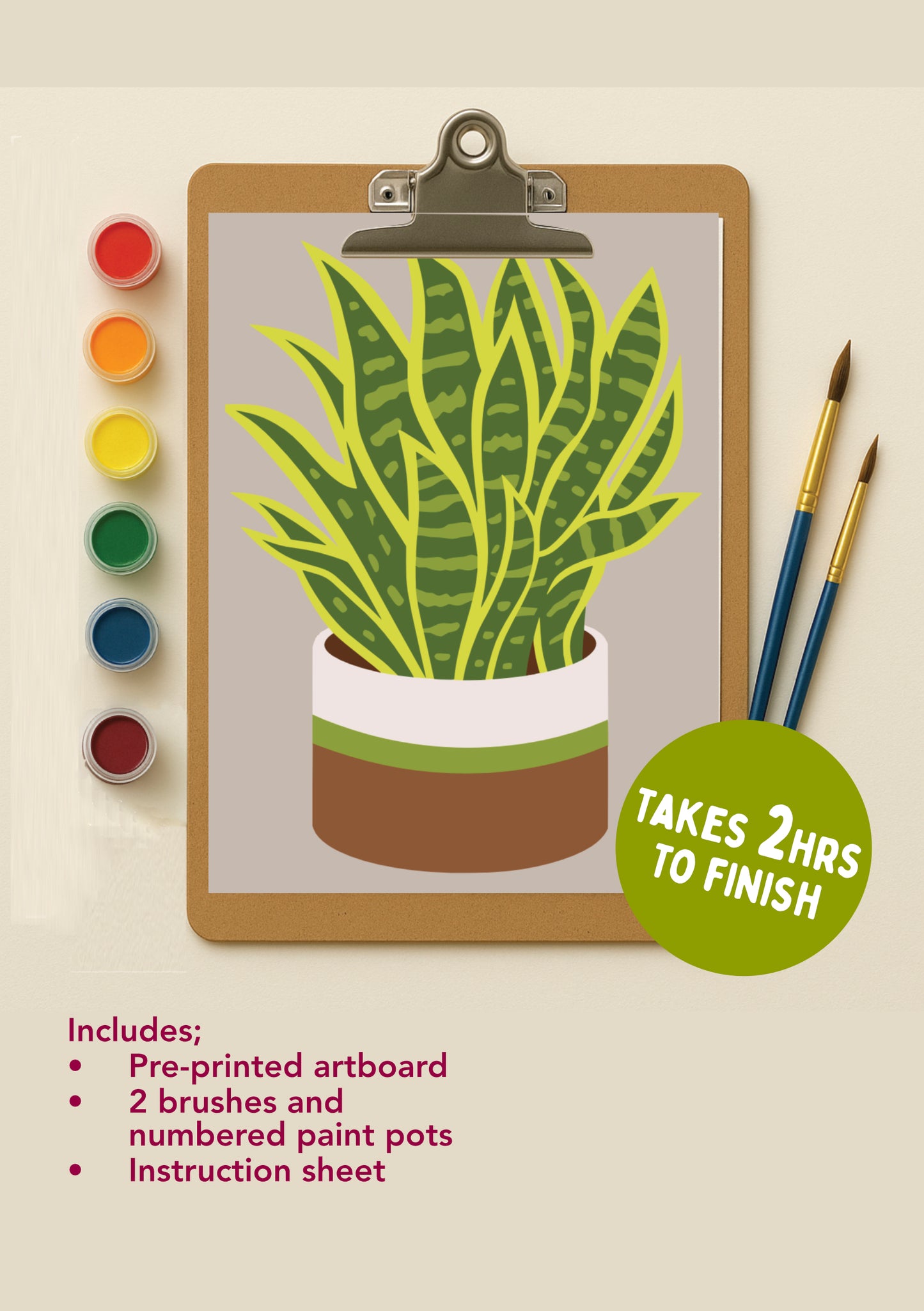 Snake Plant Serenity mini kit