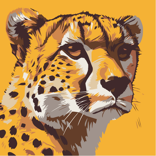 Cheetah